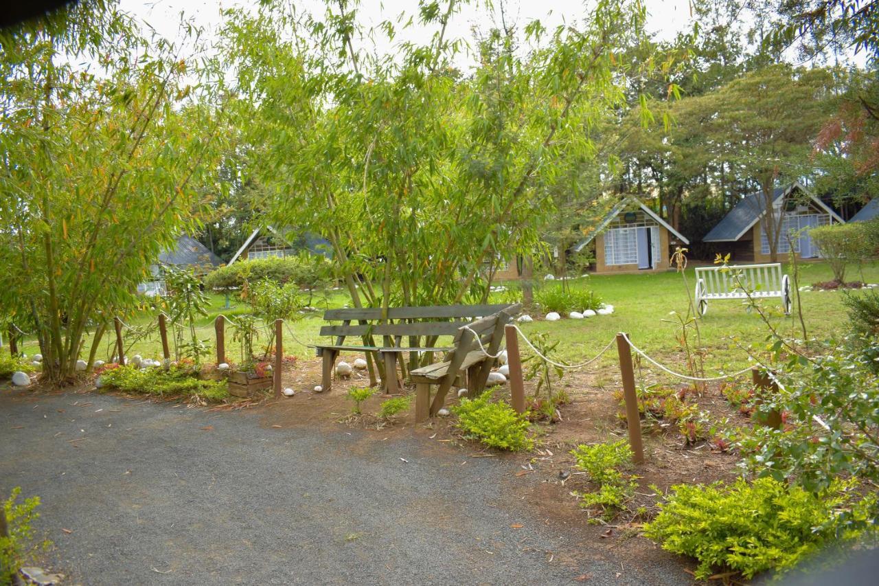 Hotel Camp Mahon Gardens Nanyuki Exterior foto